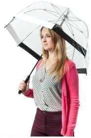 Зонт-трость женский Fulton Birdcage-1 L041 Black White (Механика, трость, прозрачный с черно-белыми вставками) 93795