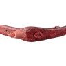 Ремень SNAKE LEATHER 18593 из натуральной кожи кобры Красный, Красный - 2