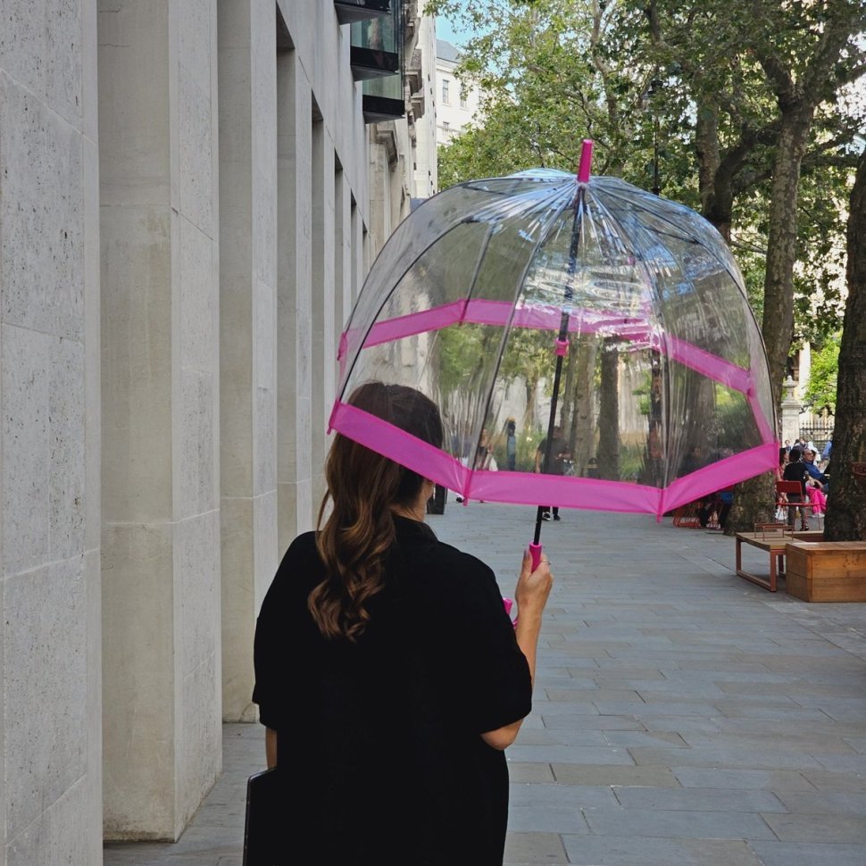 Парасоля-тростина жіноча Fulton Birdcage-1 L041 Pink (Механіка, тростина, прозора з рожевими вставками) 93797 modnotak фото №3