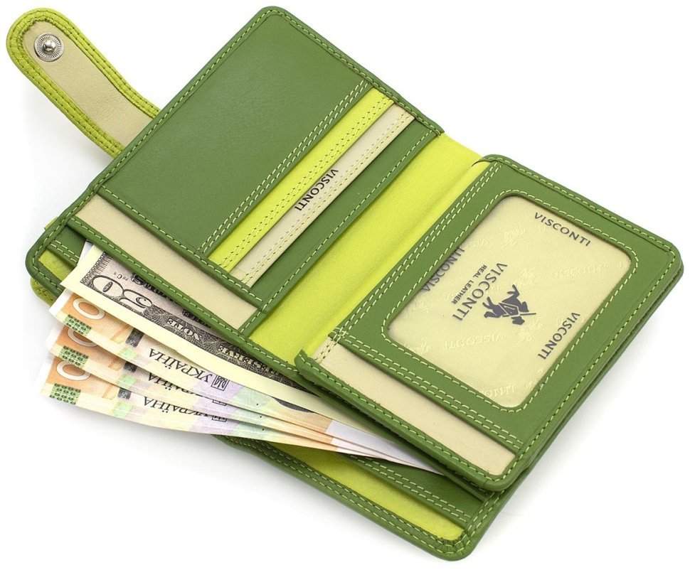 Мультикольоровий жіночий гаманець із натуральної шкіри з монетницею Visconti Fiji 68797